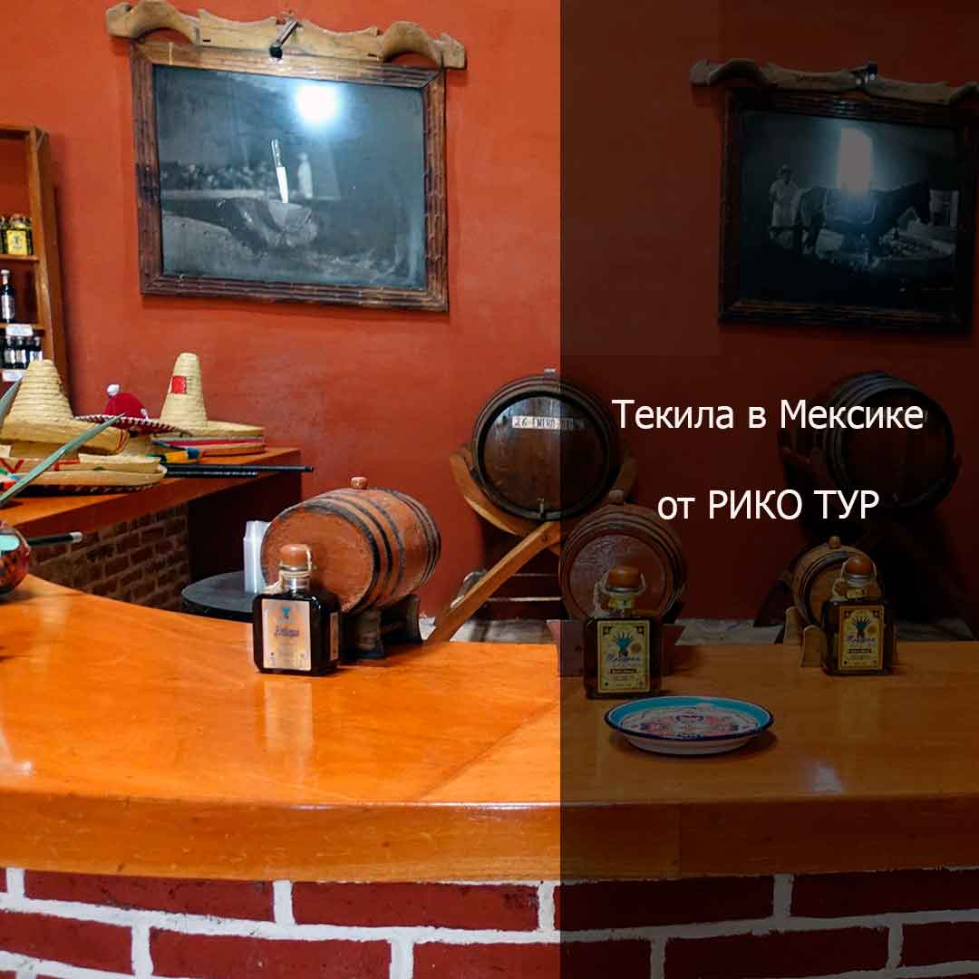 Текила в Мексике. История, изготовление и выбор