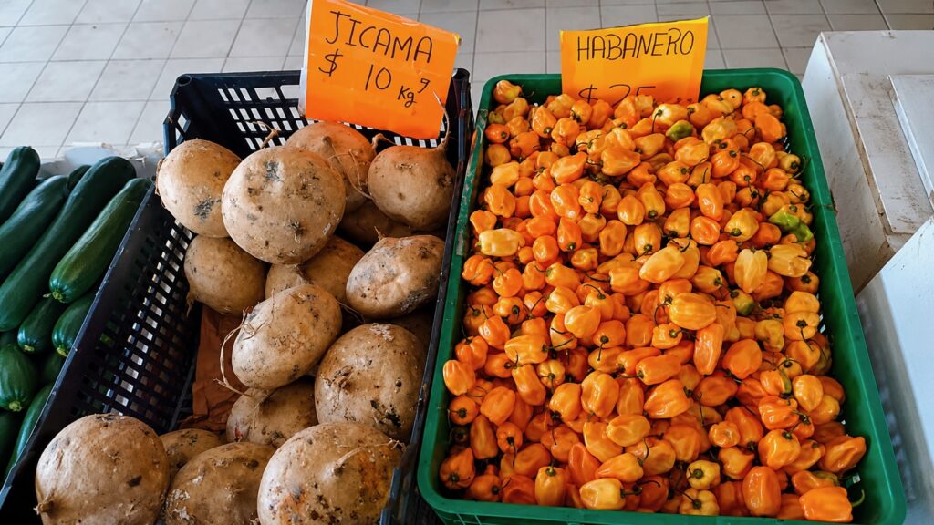 Хикама и острый перец хабанеро на рынке Мексики