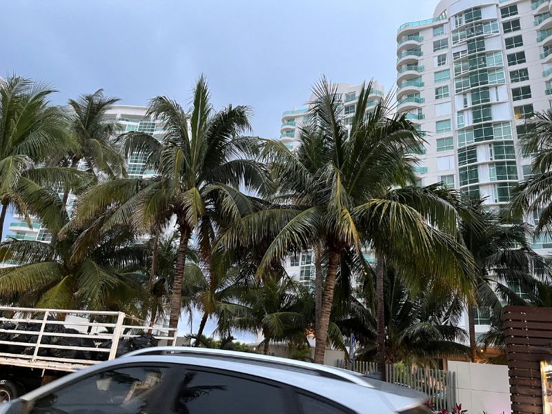 недвижимость в канкуне - Как арендовать жилье в Канкуне