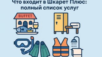 что входит в Шкарет Плюс