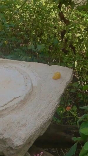 Экскурсии по Юкатану
