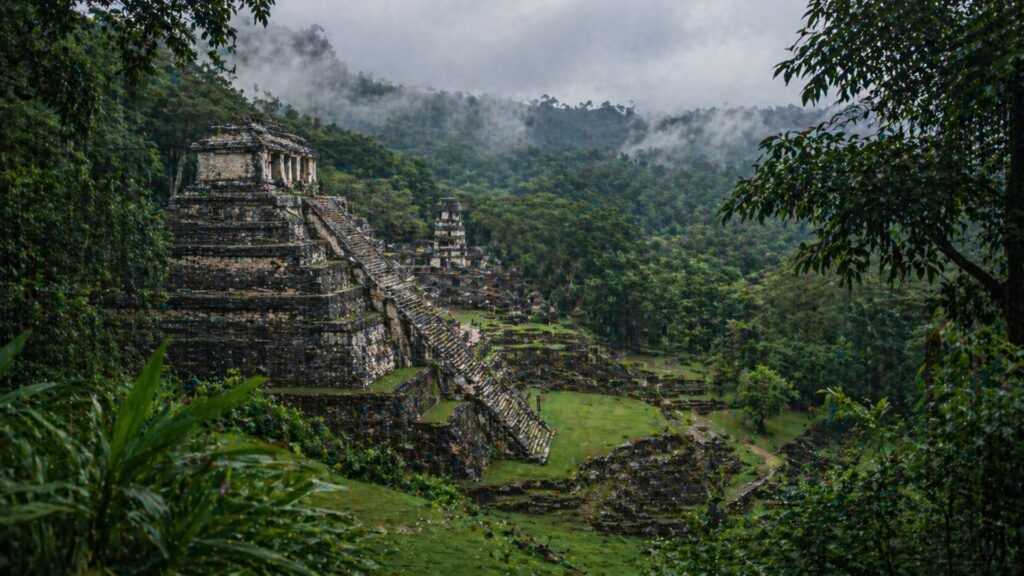 паленке руины майя мексика джунгли